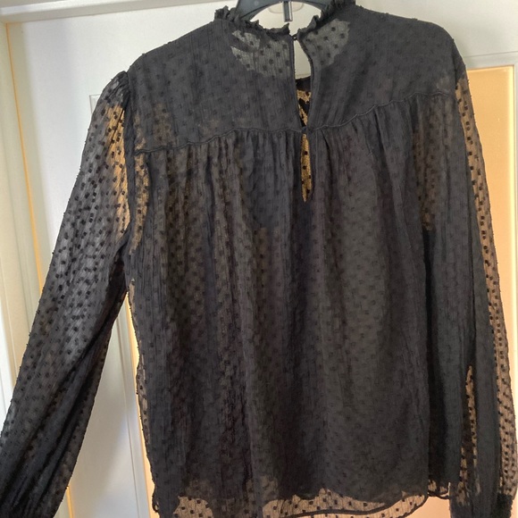 Zara Swiss Dot Sheer Blouse - Picture 11 of 14